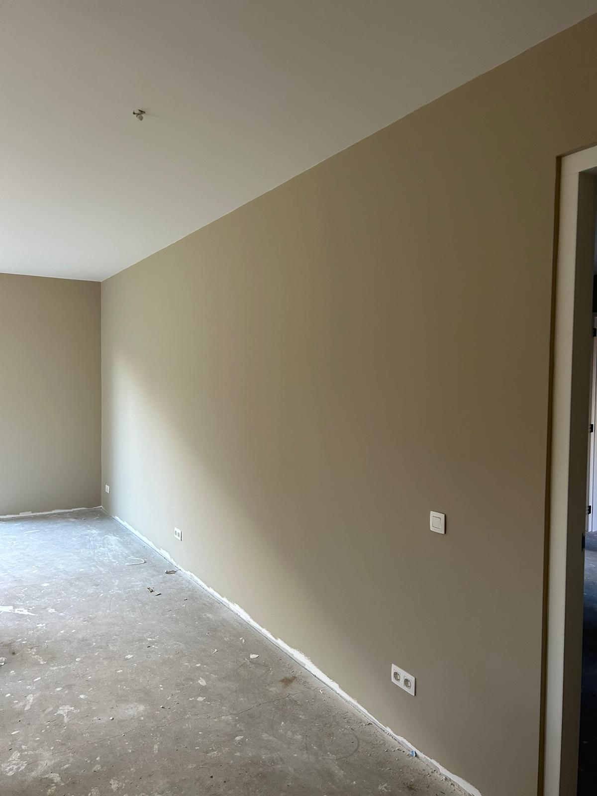 Renovlies of stucen: wat is het verschil en wat kies je? foto 3
