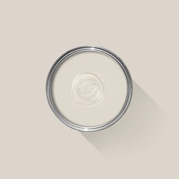 Farrow and Ball Pigeon (25) en Skimming Stone (241) combineren foto 3